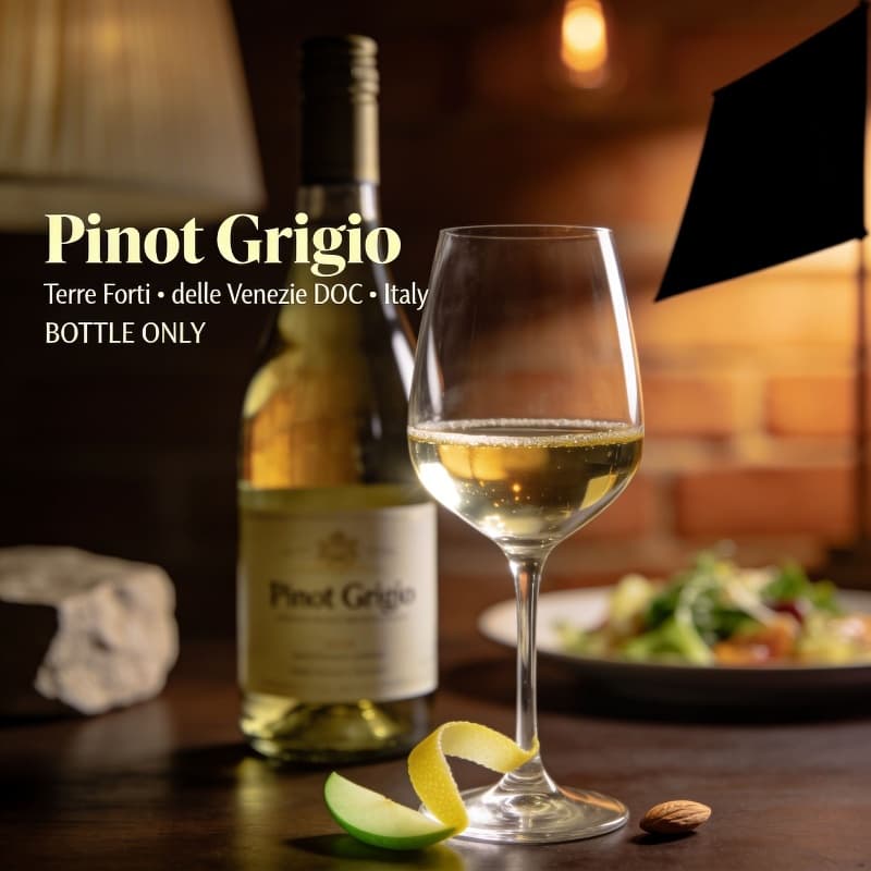 White, Terre Forti, Pinot Grigio delle Venezie DOC – Italy